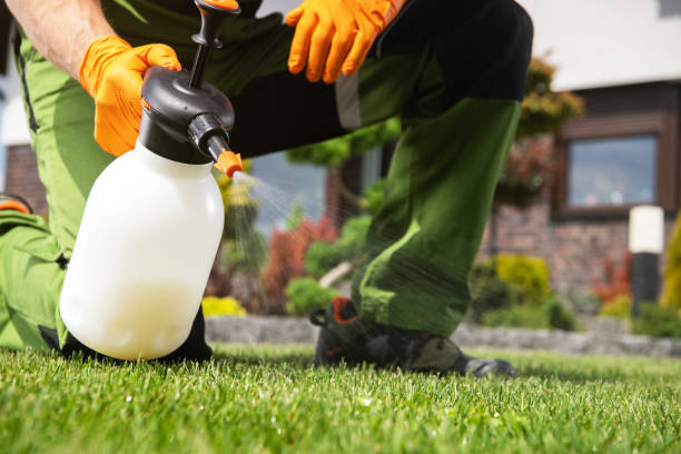 Best Pest Prevention Services  in Orcutt, CA