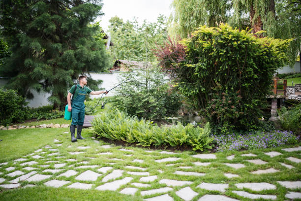 Best Pest Control Cost  in Orcutt, CA