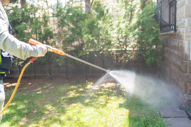 Best Residential Pest Control  in Orcutt, CA