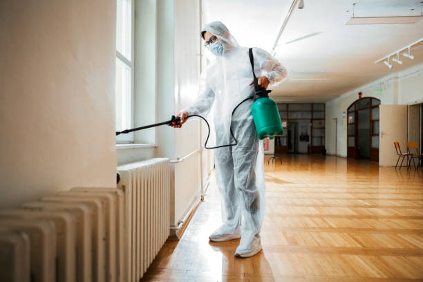 Best Best Pest Control Companies  in Orcutt, CA
