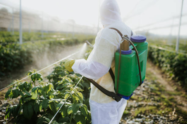 Best Insect Control  in Orcutt, CA